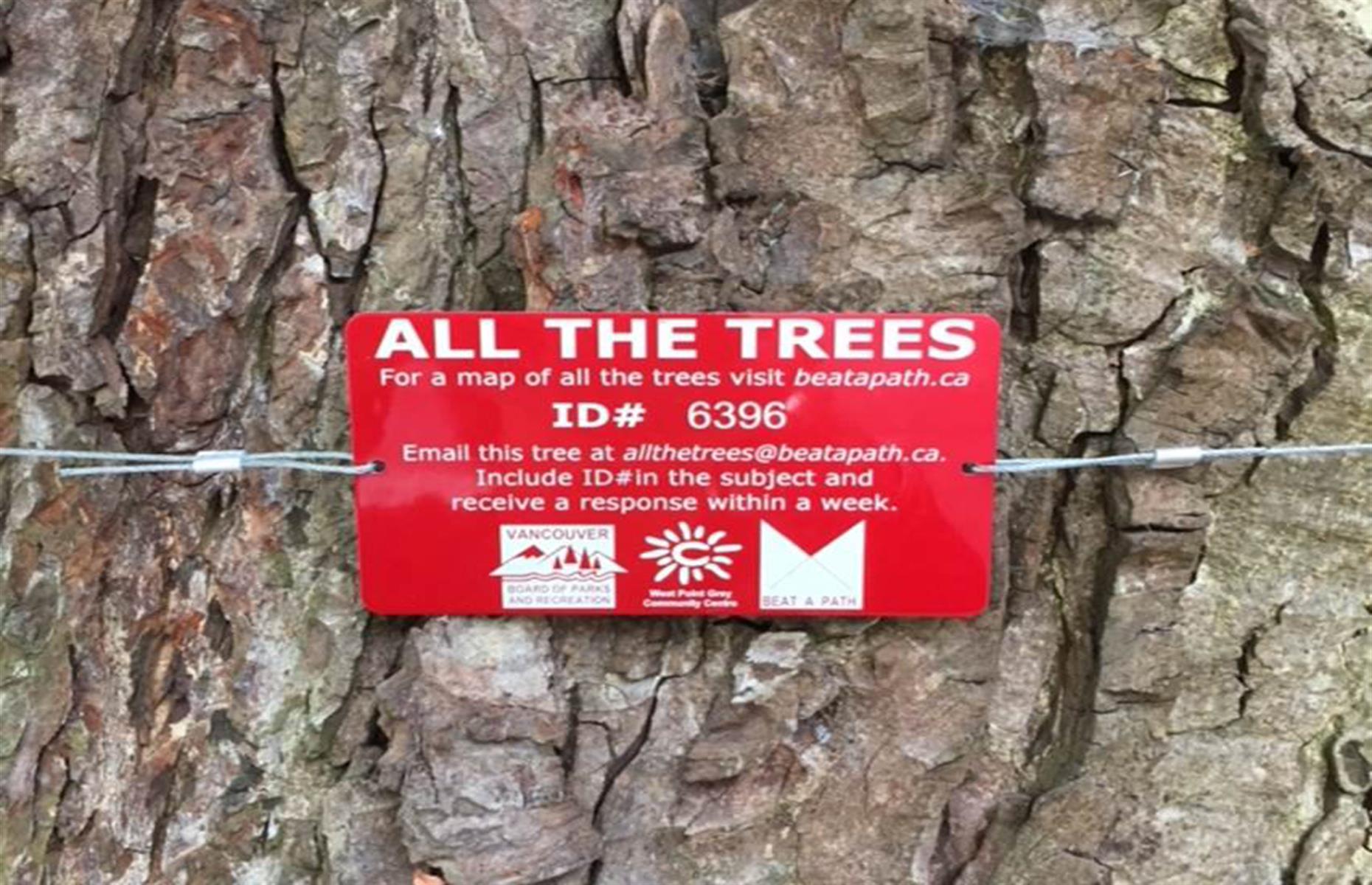 Email a tree – $7,000